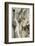 Deadwood, Detail, Fissures and Structures, Stubnitz, National Park Jasmund-Andreas Vitting-Framed Photographic Print