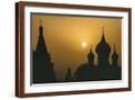 Brown Frame