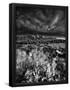 Essential Black