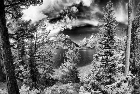 Premium Photographic Print, , large