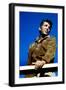 Dean Martin-null-Framed Photo