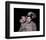 Dean Martin-null-Framed Photo