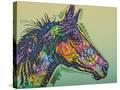 Stretched Canvas