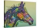 Stretched Canvas