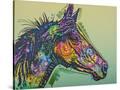 Stretched Canvas