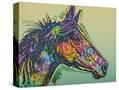 Stretched Canvas