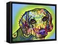 Framed Canvas