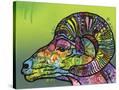 Stretched Canvas