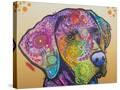 Stretched Canvas