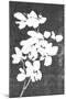 Wood Mount