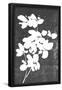 Essential Black