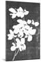Wood Mount