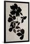 Gramercy Black