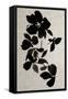 Canvas Black