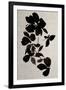 Gramercy Black