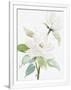 Gramercy White