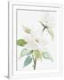 Gramercy White