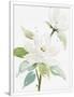 Gramercy White
