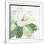 Gramercy White
