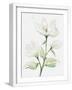 Chelsea White