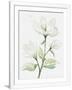 Gramercy White