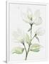 Gramercy White