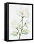 Framed Canvas