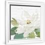 Gramercy White
