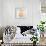 Deanie Beanie Bear-Natalie Timbrook-Framed Premium Giclee Print displayed on a wall
