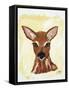 Dear Deer-Julie DeRice-Framed Stretched Canvas