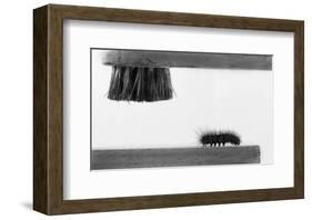 Dear Friend-null-Framed Art Print