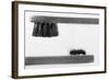 ...Dear Friend-Stefano Mallus-Framed Photographic Print