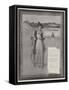 Dear Lady-Davidson Knowles-Framed Stretched Canvas