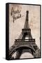 Dear Paris-Emily Navas-Framed Stretched Canvas