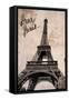 Dear Paris-Emily Navas-Framed Stretched Canvas