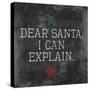 Dear Santa Explain-Jace Grey-Stretched Canvas