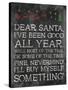 Dear Santa Nevermind-Jace Grey-Stretched Canvas