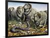 Death Adder (Acanthophis Antarcticus), Elapidae-null-Framed Giclee Print