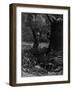 Death-Fires Dancing around the Becalmed Ship-Gustave Doré-Framed Giclee Print