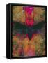 Death Moth Collage, 2016-David McConochie-Framed Stretched Canvas