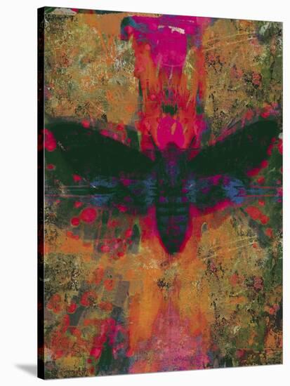 Death Moth Collage, 2016-David McConochie-Stretched Canvas