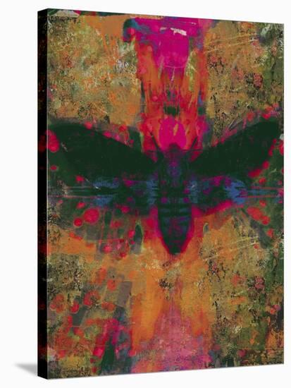 Death Moth Collage, 2016-David McConochie-Stretched Canvas