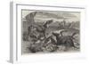 Death of a Red Forester or Old Man Kangaroo-Harrison William Weir-Framed Giclee Print