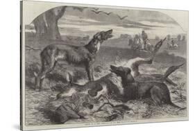 Death of a Red Forester or Old Man Kangaroo-Harrison William Weir-Stretched Canvas