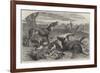 Death of a Red Forester or Old Man Kangaroo-Harrison William Weir-Framed Giclee Print