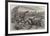 Death of a Red Forester or Old Man Kangaroo-Harrison William Weir-Framed Giclee Print