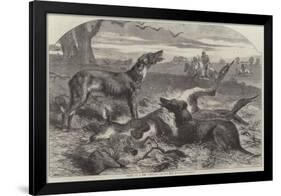 Death of a Red Forester or Old Man Kangaroo-Harrison William Weir-Framed Giclee Print