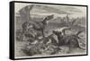 Death of a Red Forester or Old Man Kangaroo-Harrison William Weir-Framed Stretched Canvas