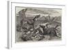 Death of a Red Forester or Old Man Kangaroo-Harrison William Weir-Framed Giclee Print