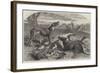 Death of a Red Forester or Old Man Kangaroo-Harrison William Weir-Framed Giclee Print